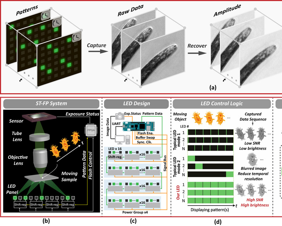Teaser for High-throughput Space-time Fourier Ptychography for Motile Microorganisms
